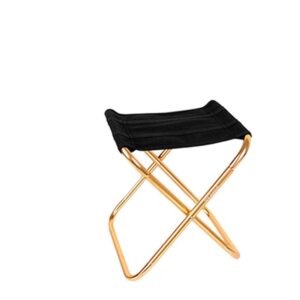 WSS Shoes Portable Chair Camping Fishing Chair Folding Chair Lightweight Folding Picnic Chair Aluminum Garden Furniture Portable Fishing Seat-Gray-L Folding chair (Color : Gold-M)