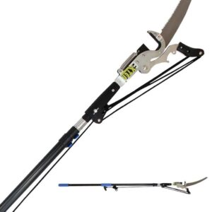 Telescopic Pole Saws