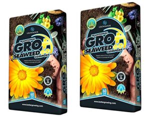 2 x Growmoor Potters 60L Bags Of Multi Purpose Garden Potting Compost Bed Borders Baskets (120 L Total)