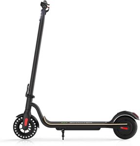 Electric Scooter S10