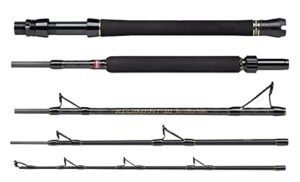 PENN Regiment III Boat Travel Rod - Saltwater Sea Fishing Rod - Portable Multi Piece