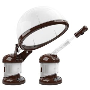 2 in 1 Hair & Facial Steamer