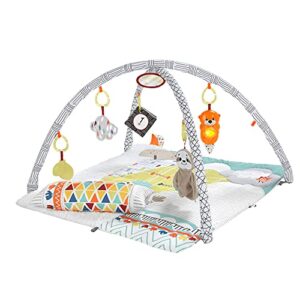 Fisher-Price Perfect Sense Deluxe Gym