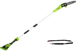 Greenworks G40PSF Cordless Pole Saw