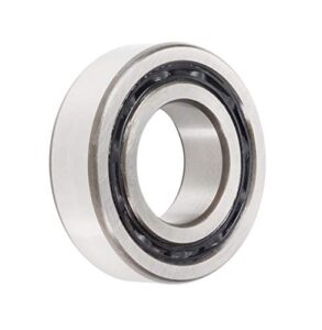 FAG 4309-B-TVH Double Row Deep Groove Ball Bearing