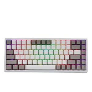 EPOMAKER EP84 84-Key RGB Hotswap Wired Mechanical Gaming Keyboard with PBT Dye-subbed Keycaps for Mac/Win/Gamers (Gateron Yellow Switch