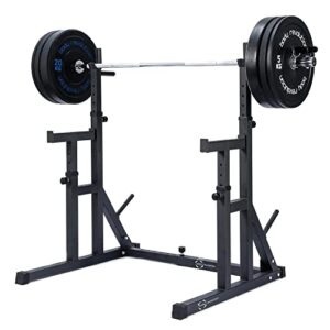 Body Revolution Heavy Duty Adjustable Squat Rack - With Weight Plate Storage