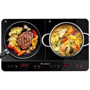 Aobosi Double Induction hob