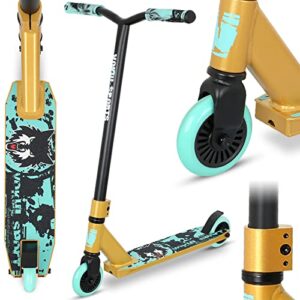 Joycruise Stunt Scooter Pro Trick Scooters for Kids & Teenagers Age 6+ Boys Girls