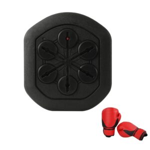 REIZIA Boxing Machine Wall Mounted Music Boxing Machine Indoor with Boxing Glove Kids Adult Rechargeable Lighted Boxing Equipment Game Products Machine