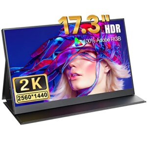 17.3 Inches Portable Monitor