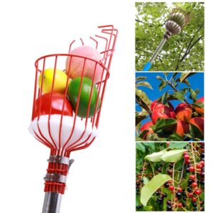 Blossomer Fruit Picker Basket With Detachable Pole