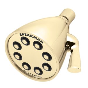 Speakman Icon S-2251-PB Shower Head