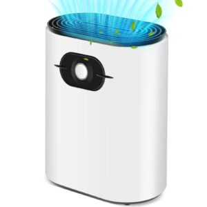 GAITIR Dehumidifier 1.2L Dehumidifiers for Home Damp