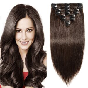 Double Drawn Hair Extensions Real Human Hair Clip in 8 Pieces Full Head Remy Straight (18 Inch (100 g)