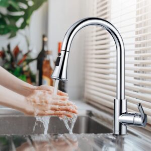 Kitchen Faucet
