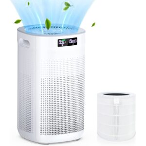 Air Purifier for Home with H13 Ture HEPA Filters Air Cleaner with 4-Stage Filtration