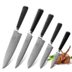 Damasus Premium Kitchen Knife Set of 5