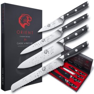 4 Piece Knife Set - Professional Chef