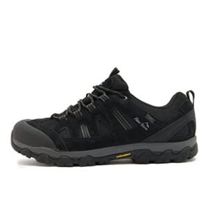 Peter Storm Men’s Arnside II Waterproof Walking Shoe with StormGrip Outsole and TPU Shank