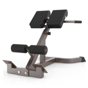 Roman Chair Adjustable Roman Stool Abdominal Exerciser Leg Press Machine Push-up Trainer Maximum Load: 300KG Workout Benches For Home (Color : Champagne