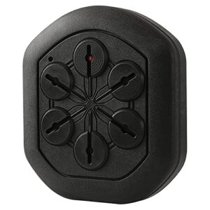 Electronic Boxing Practice Wall Target