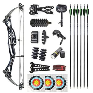 HNZMDY Archery Compound Bows Set 40-60lbs Adjustable Right / Left Hand Adult Hunting Bow with Arrows All Accessories for Outdoor Hunting