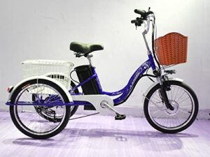 Adult Electric Tricycle 24 Inch Lithium Battery 3 Wheel Bicycle for Elderly with LED Lighting Screen Extended Rear Basket Power/assist/pedal