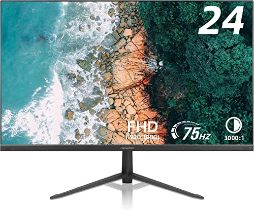 24 Inch Business Computer Monitor Full HD 1920x 1080 Monitor