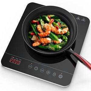 Aobosi Single Induction Hob