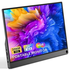 Portable Monitor
