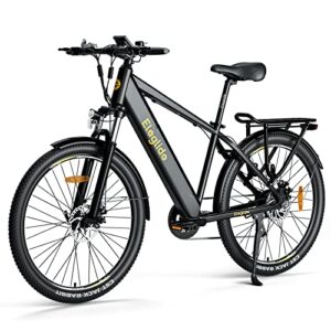 Electric Bikes