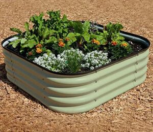 Original Veggie Bed Sage Garden Planting Mist Green Vegetable Planter Easy to Grow our Own 2x Veg Bed by Thompson and Morgan. (Mist Green)