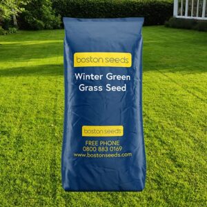 Winter Green Grass Seed