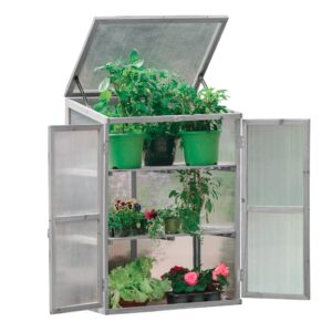 Neo Mini Wooden Greenhouse Cold Frame Garden Flower Vegetable Planting Box Growhouse (Growhouse 2 -Grey)