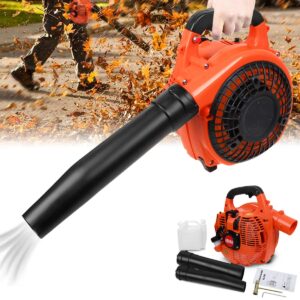 Cordless Petrol Garden Leaf Blower