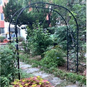 WANGFENG Heavy Duty Metal Garden Arch Rose Trellis Arches Decorative Wedding Archway Arbour Pergola For Climbing Plants Roses Vines
