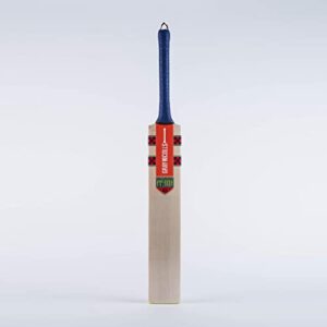 GRAY NICOLLS Hypernova Gen 1.0 200 Junior English Willow Cricket Ba