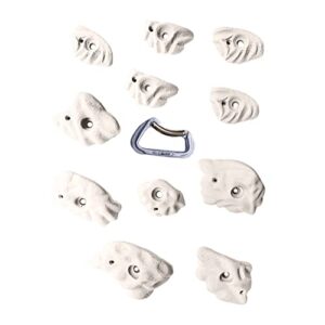 RockHolds Ergonomics Jugs and Crimps Rock Climbing Hold Set Home Bouldering Wall Gym Holds