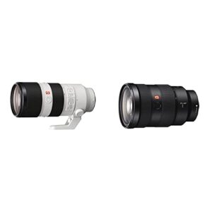 Sony FE 70-200 mm f/2.8GM OSS | Full-Frame