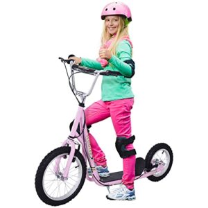 HOMCOM Teen Stunt Scooter Push Kick Scooters for Kids with Rubber Wheels Adjustable Handlebar Front Rear Dual Brakes Kickstand