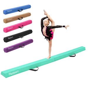 FBSPORT 240 CM Balance Beam