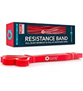 RPM Power Bands - Resistance Bands, Tube Bands & Fabri Bands, Premium Exercise Bands with Door An...