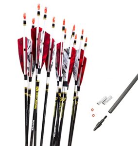 ACCMOS 12pcs Spine 340 400 500 600 700 800 Hunting Arrows ID 6.2 mm Carbon Arrow for Adult Youth Hunting or Target Practice ID 6.2 mm Bow Archery Huntting Shooting
