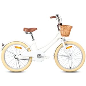 Glerc Girls Bike with Basket for 3-10 Years Old Kids