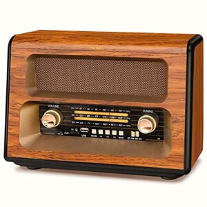 PRUNUS J-199 Battery Radio Retro