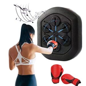 ENPAP Eletronic Boxing Wall Target