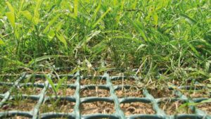 Groundstores Grass Reinforcement Mesh | 1m x 10m | 450gsm | Turf Protection Mesh