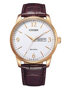 Citizen Mens Analogue Eco-Drive Watch with Leather Strap