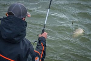 Korda Guru A-Class Light Feeder 11ft 1-50g 3pc GAC007